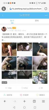 这俩资源为什么看不了